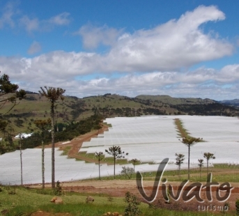Serra Rio do Rastro+Villa Francioni degustao 5 rotulo