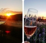 Vinhedo + por do Sol Sunset wine Monte Agudo