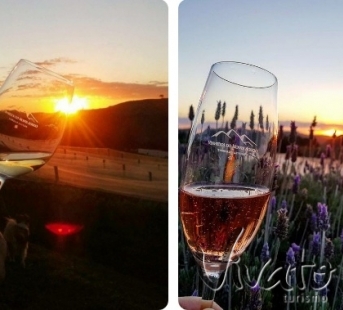 Vinhedo + por do Sol Sunset wine Monte Agudo